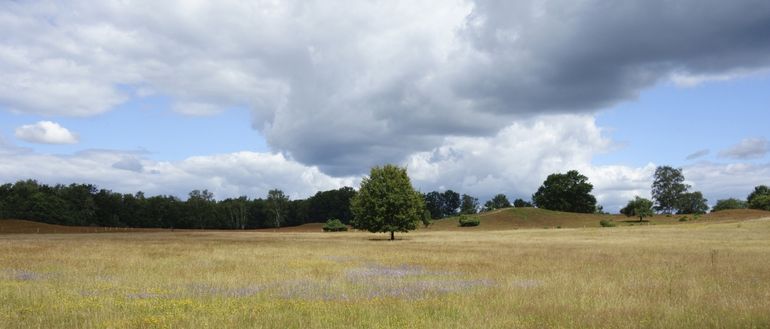 Het valt niet altijd mee om een grafheuvel in het landschap te herkennen