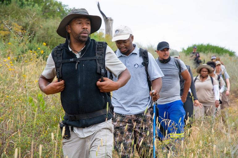 Lindsay Lewis van het Paarl Mountain Nature Reserve leidt de strikkenpatrouille door het natuurgebied