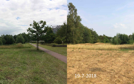 GrowApp Lumentuin GrowApp droogte