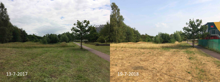 Natuurtuin Lumengebouw Wageningen University