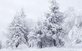 Sneeuwlandschap, GNU-licentie voor vrije documentatie