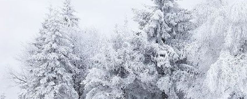 Sneeuwlandschap, GNU-licentie voor vrije documentatie