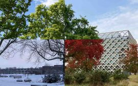 Atlasgebouw met moseik in 4 seizoenen ineen
