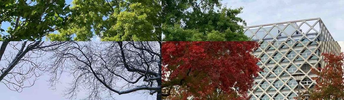 Atlasgebouw met moseik in 4 seizoenen ineen