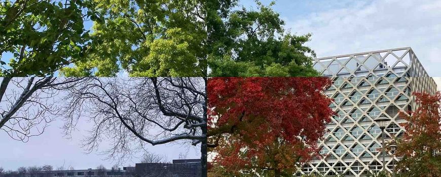 Vier seizoenen in beeld op de campus van Wageningen University & Research