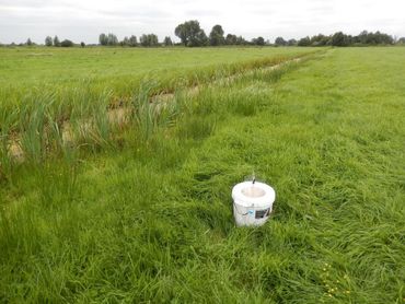 Nachtvlinders werden onderzocht met behulp van LedEmmers