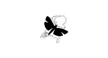 Stichting TINEA Logo Stichting TINEA