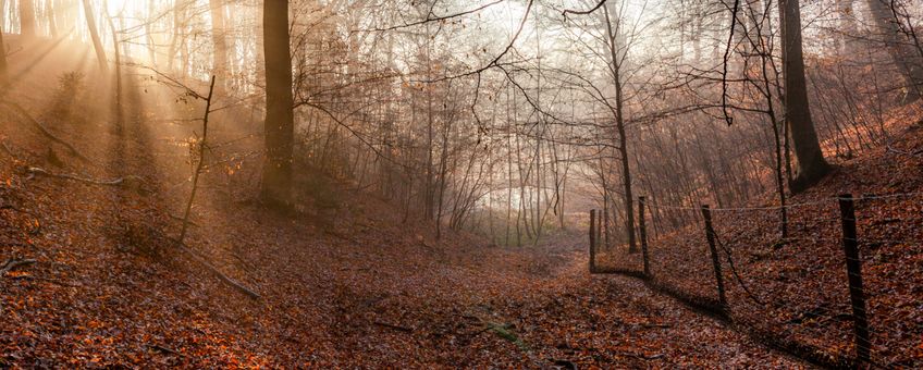 Herfstlandschap