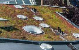 Mediatheek Rijksoverheid Groen dak met zonnepanelen in Enschede
