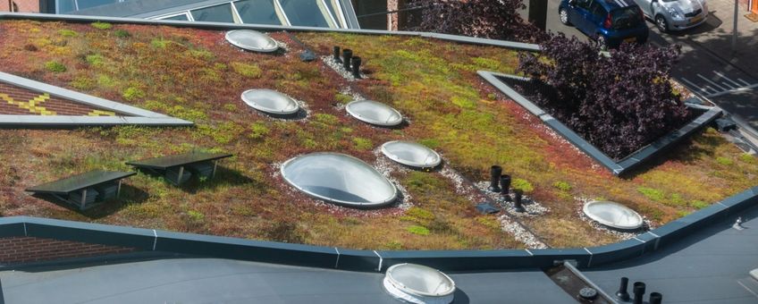Groen dak met zonnepanelen in Enschede