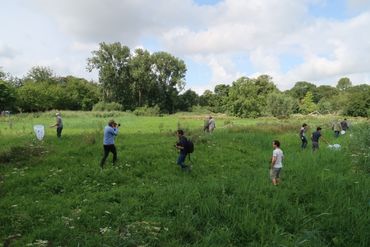 'Citizen scientists' tijdens onderzoek in het Vondelpark