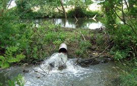 Beaver deceiver in dam EENMALIG GEBRUIK