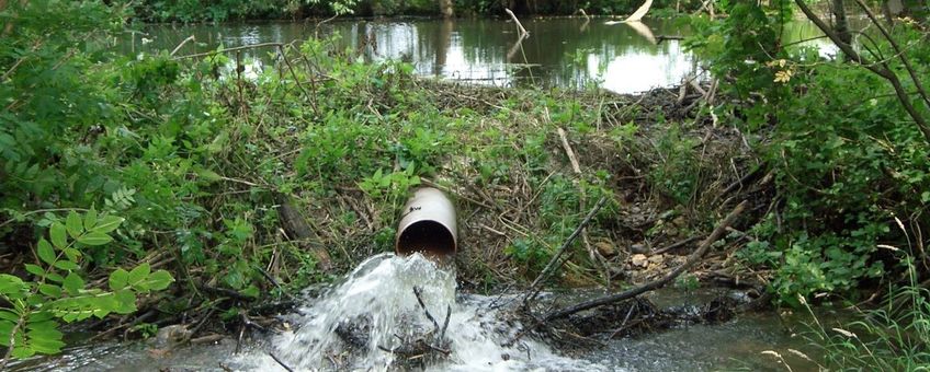 Beaver deceiver in dam EENMALIG GEBRUIK