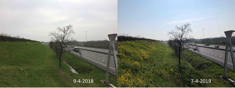 Verschil in ontwikkeling van een geluidswal langs de A12 in Ede tussen 9 april 2018 en 7 april 2019