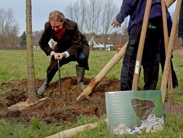 De wethouder boort een gat voor een van de steunpaaltjes