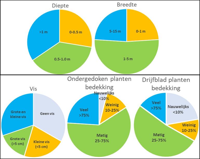 Overzicht van geïnventariseerde kenmerken van tuinvijvers. Per variabele is de verdeling over klassen in een taartdiagram weergegeven. De meeste vijvers zijn één tot vijf meter breed, maar er zijn ook kleinere en grotere vijvers onderzocht. De verdeling over de drie diepteklassen is ongeveer gelijk. Ongeveer één derde deel van de vijvers is zonder vis. De meerderheid van vijvers met vis heeft zowel grote (groter dan vijf centimeter) als kleine vissen. Zowel de ondergedoken waterplanten als de drijfbladplanten zijn in de meeste vijvers goed ontwikkeld met een bedekking van 25 tot 75 procent van het oppervlak