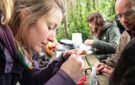 NIOO-KNAW Ringwerk in het Dassenbos in Wageningen