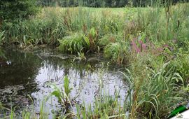 provincie Zuid-Holland Verlanding