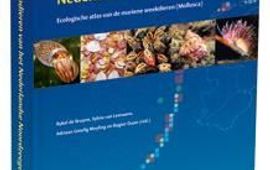 Omslag atlas Nederlandse zeeweekdieren