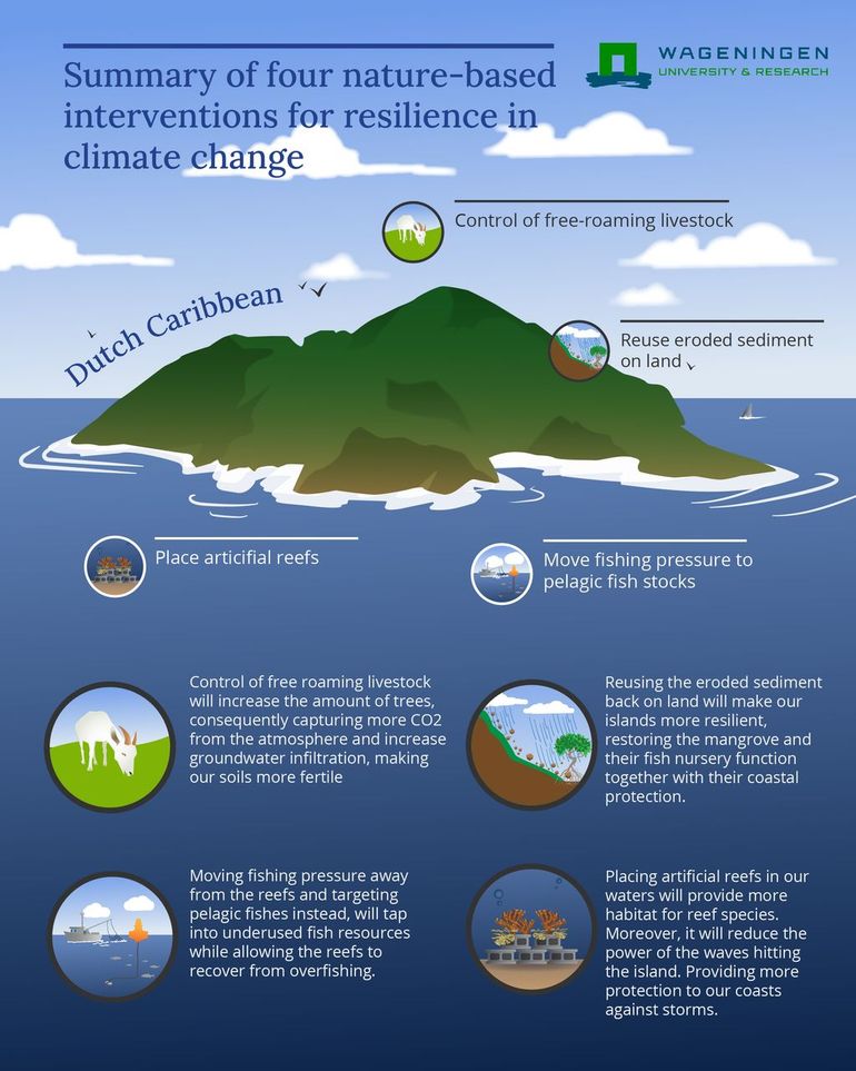 Summary of four nature-based interventions for resilience in climate change