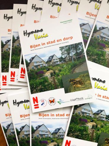 Nu gratis te downloaden: Bijen in stad en dorp