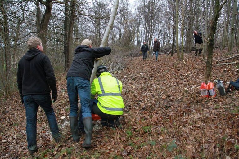 Aan de slag tijdens de werkdag op 20 februari 2016