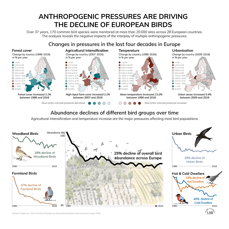 Overzicht van de verandering van drukfactoren in Europa tussen 1996 en 2016 en de aantalsontwikkeling van verschillende soortgroepen van 1990 tot 2016