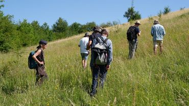 Excursie Belgi&euml;