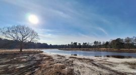 Grenspark Kalmthoutse Heide