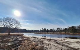 Grenspark Kalmthoutse Heide