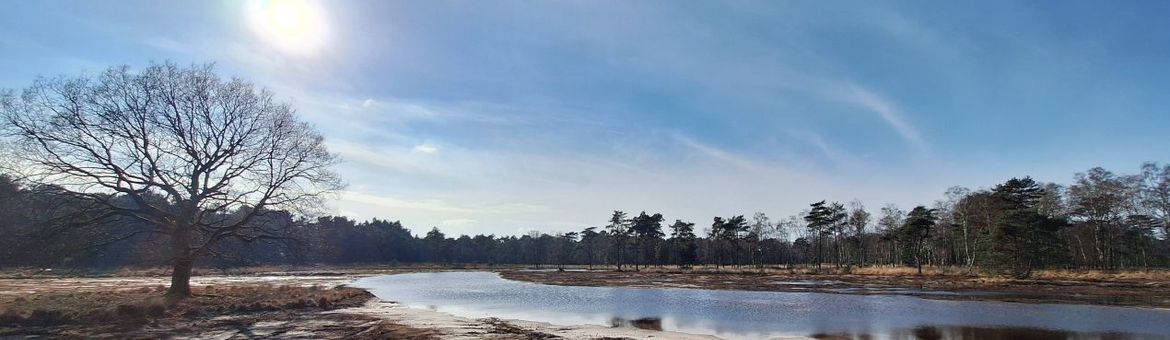 Grenspark Kalmthoutse Heide