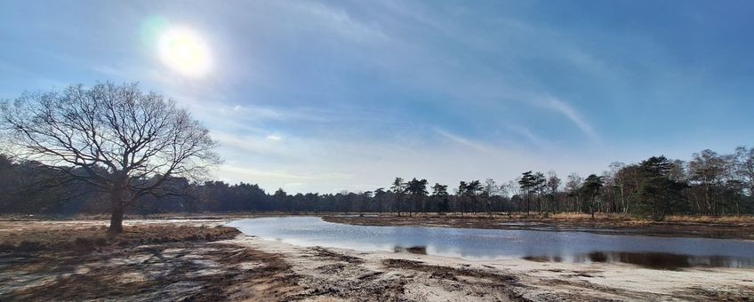 Grenspark Kalmthoutse Heide