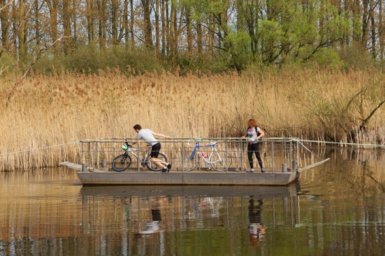 Recreatie in moerasveengebied; trekpontje