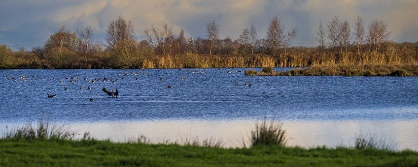 Veengebied in de gemeente Midden-Groningen