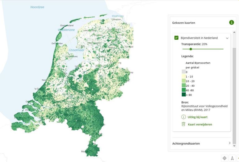 Bijendiversiteit in Nederland 