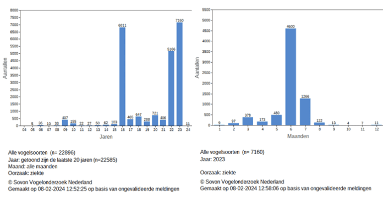 Aantallen bij Sovon gemelde dode wilde vogels als gevolg van ziekte van 2004 t/m 2024 (links). Duidelijke besmettingspieken in 2016, 2022 en 2023 vallen op. In 2023 zijn er in juni en juli veel meldingen, sindsdien is het rustig (rechts)
