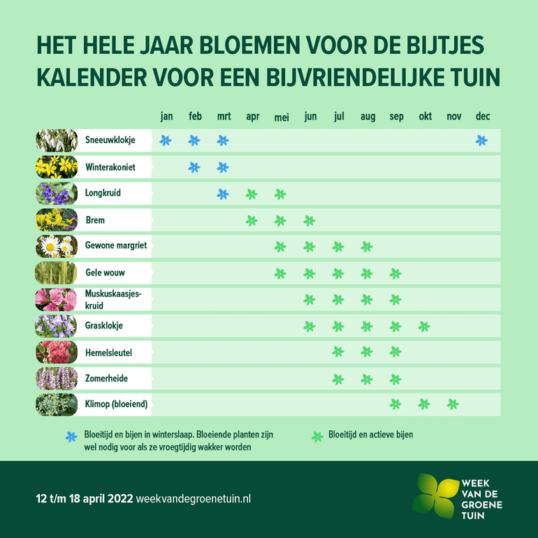 Kalender voor een bijvriendelijke tuin