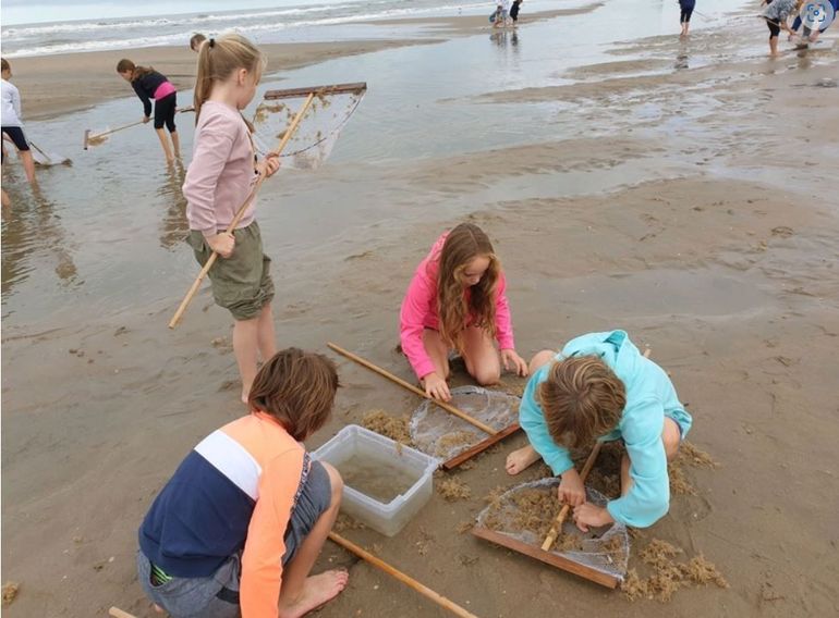 Zeelessen bij Hoek van Holland, het strand bij Noordwijk en langs de Brouwersdam