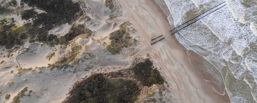 Door kerven in de voorste duinen kan kalkrijk zand weer het duingebied inwaaien.