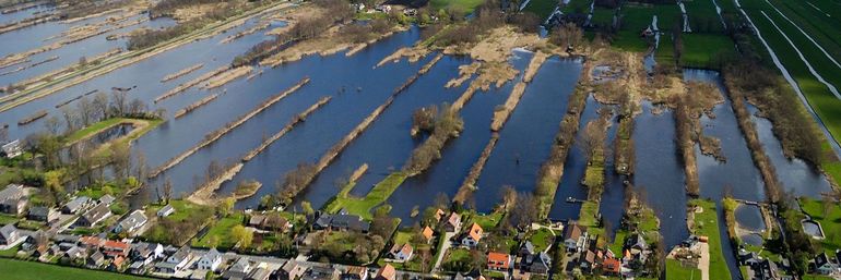 Oostelijke vechtplassen