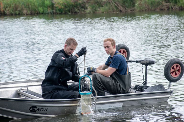 Watermonsters nemen uit Lake Lowlands