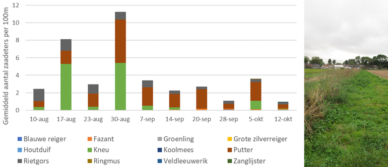 Gemiddeld aantal zaadeters en muizeneters in akkerranden per honderd meter over een periode van tien weken in het Buijtenland van Rhoon