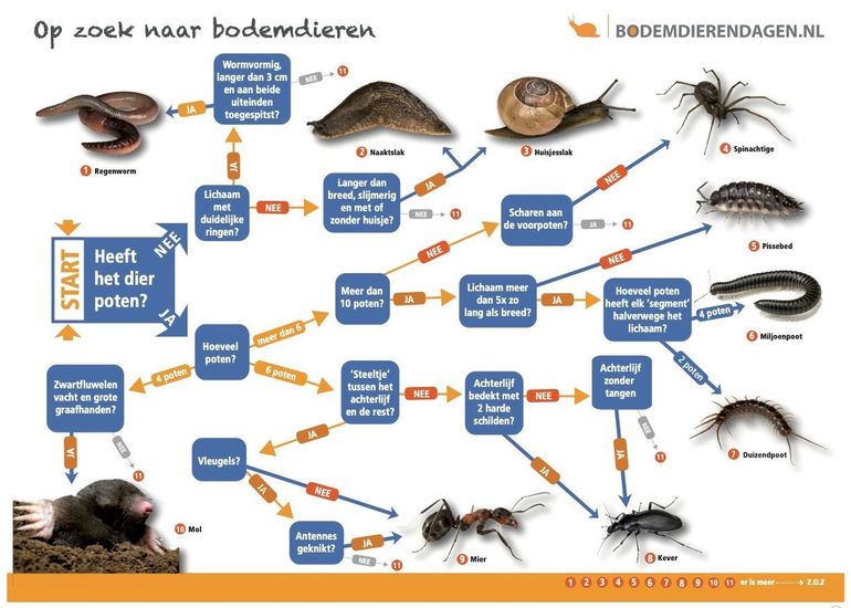 Zoekkaart Bodemdierendagen