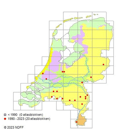 Sikkeldroogbloem, Verspreidingsatlas 18-10-2023