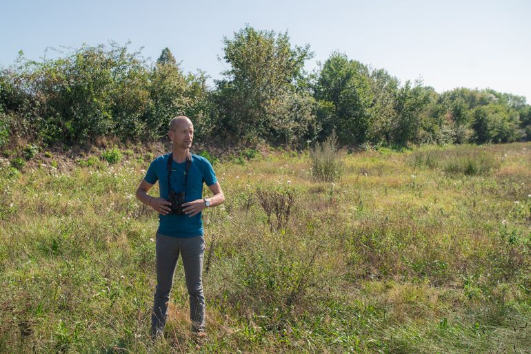 Hoofd Vogeltrekstation Henk van der Jeugd was erbij toen 'YTBV' werd geringd op Goeree