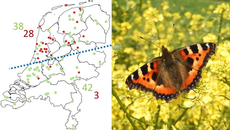 Rupsenmeldingen van maart tot en met mei in 2017 (groen) en 2020 (rood)