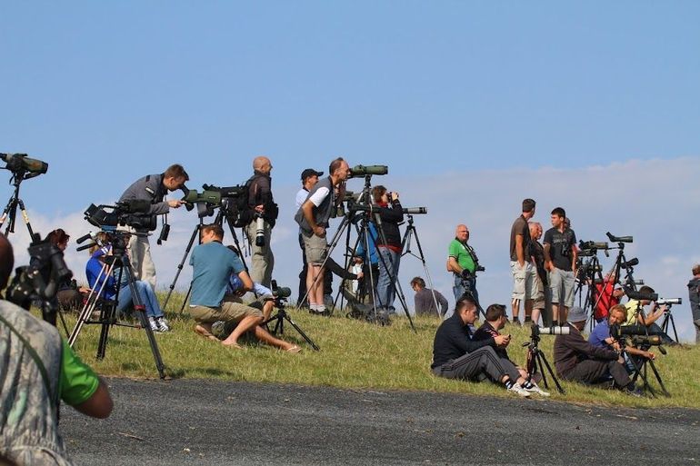 Vogelaars tijdens de trekvogelteldag