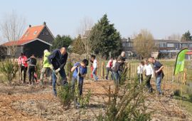 Tiny Forest Delf Harnaschpolder