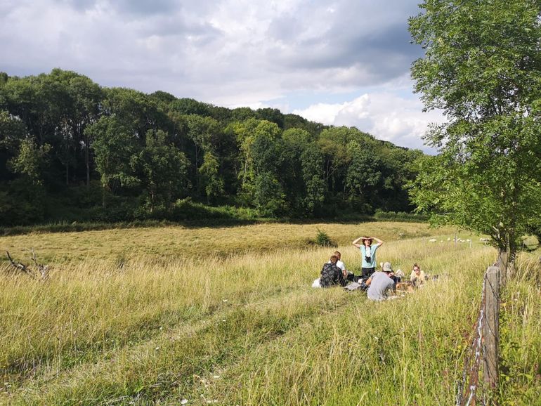 De JNM-excursie op de vindplaats van de klokjesgroefbij