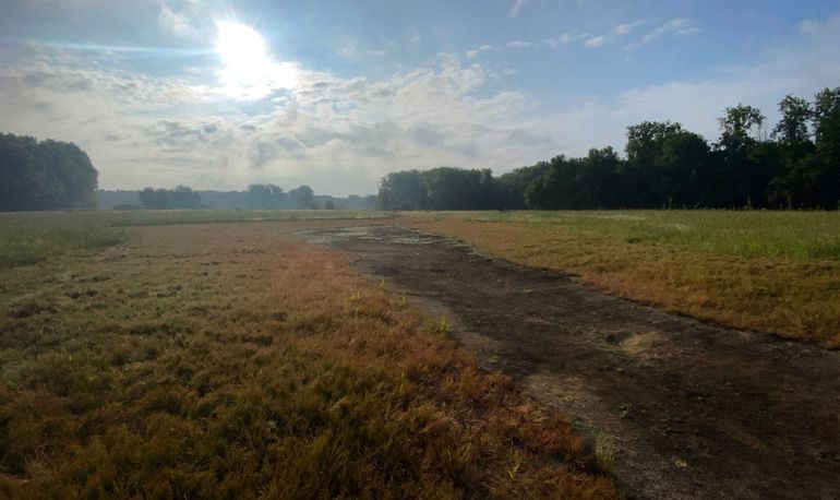 Leemskuilen, natuurontwikkeling Het Groene Woud